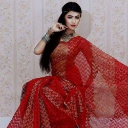 Indian jamdani sharee, w/o blouse pc