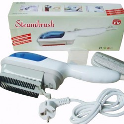 Portable electric steam brush and iron