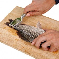Fish scales remover