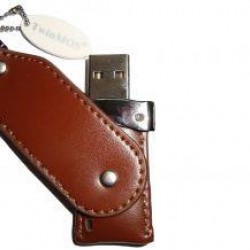 TwinMOS L2 Mobile Disk (Branded)
