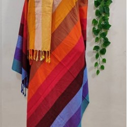 Fashionable Aarong Viscose Rainbow shawl
