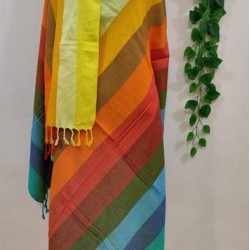 Fashionable Aarong Viscose Rainbow shawl
