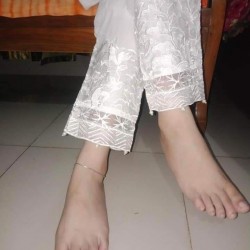 Ladies Stylish Pant