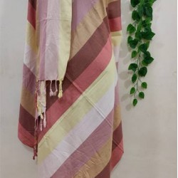 Fashionable Aarong Viscose Rainbow shawl