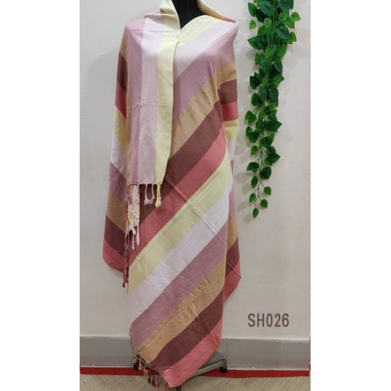 Fashionable Aarong Viscose Rainbow shawl