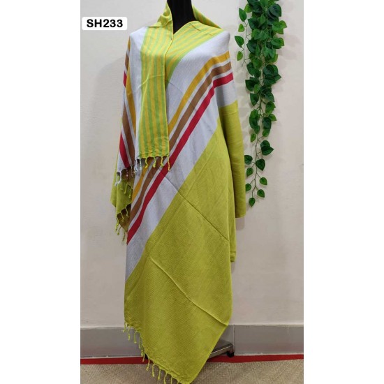 Fashionable Aarong Viscose Rainbow shawl