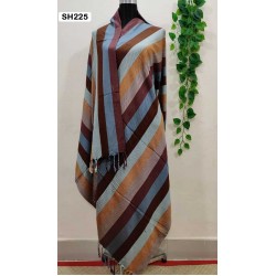 Fashionable Aarong Viscose Rainbow shawl