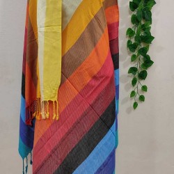 Fashionable Aarong Viscose Rainbow shawl