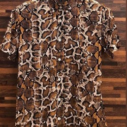 Half sleeve Shirt For Men