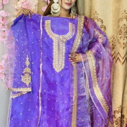 4pic Embroidery Designe Tissue Salwar Kameez