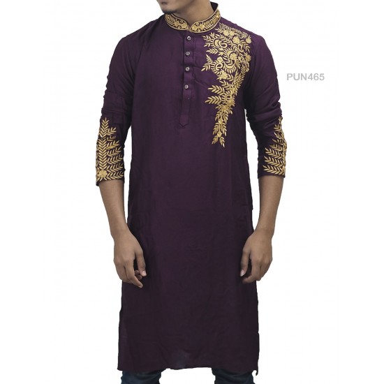 Fashionable Punjabi For Men