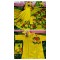Couple Hand Paint Half Silk Saree and Dhupian Silk Punjabi