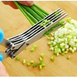 Multi Layer scissor for vegetable cutting
