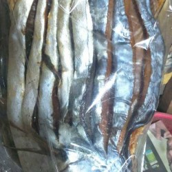 Tuna Dry Fish